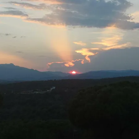 Mateu Tordera